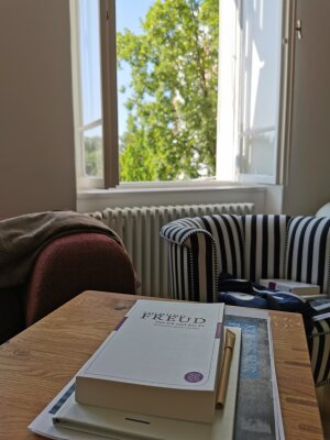 Sigmund Freud – Der Mensch ist eine tragische Figur - 