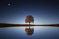 Philosophie-Kompakt: Der Beginn einer Reise